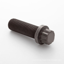 12 Point Flange Screw